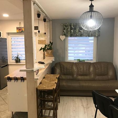 Appartement Mieszkanie U Tomka Inpiw02 à Piwniczna-Zdroj Extérieur photo